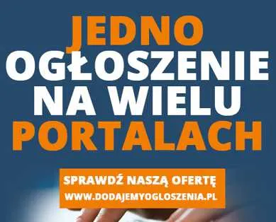 Ręczne Dodawanie Ogłoszeń Do Wielu Portali - Reklama W Internecie